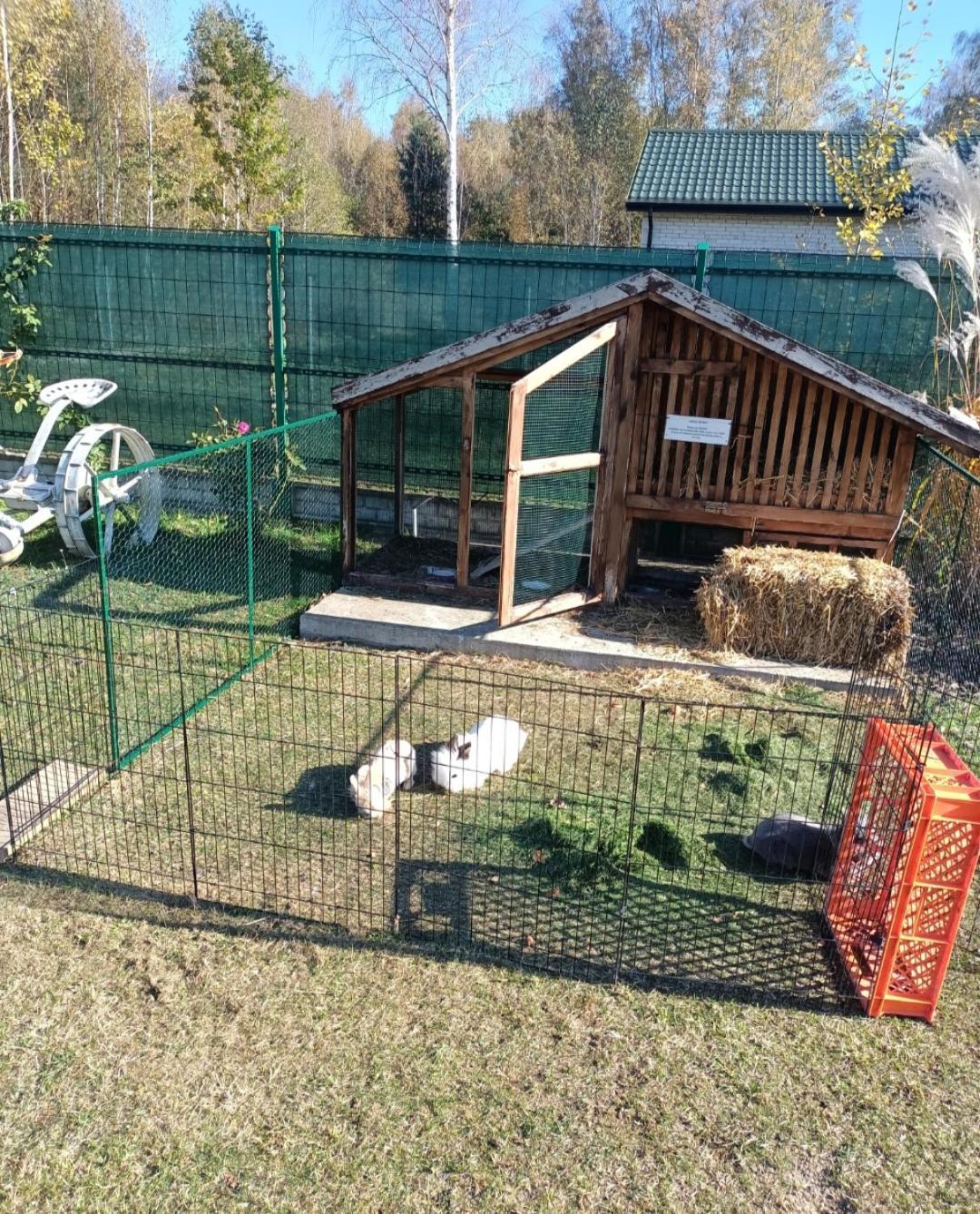 Letnia Oaza "Forsycja" Villa Sobienie Jeziory Bagian luar foto